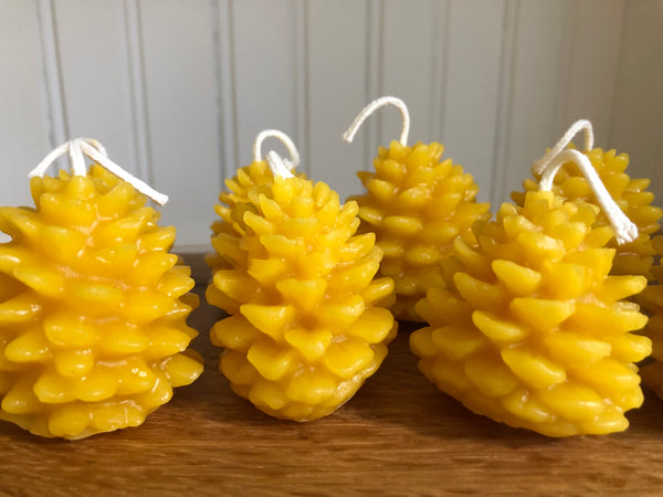 Holiday Candle Class π π¦