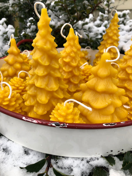 Holiday Candle Class π π¦