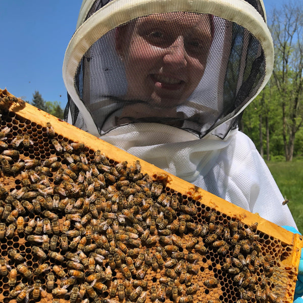 Apiary Tour