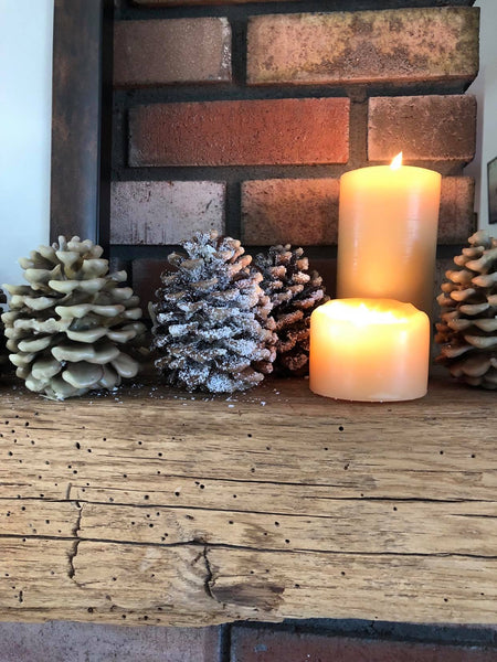Beeswax/Pinecone Fire Starters: