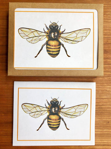 Honeybee Note Cards