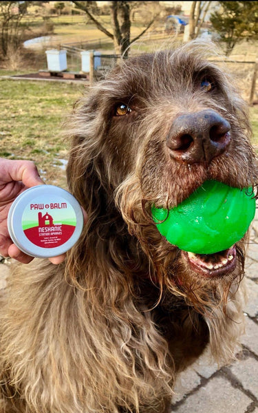 Paw Balm