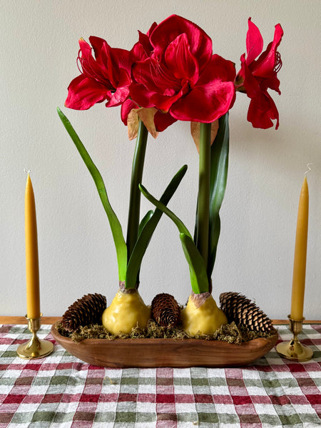 Holiday Centerpiece Class