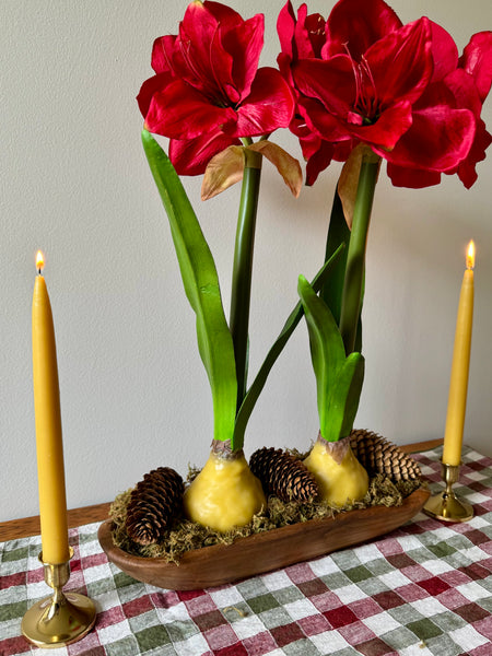 Holiday Centerpiece Class