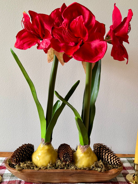 Holiday Centerpiece Class