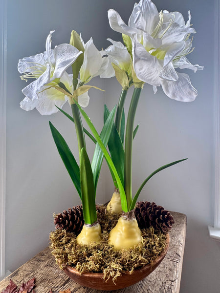 The Gathered Table Amaryllis Centerpiece