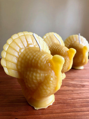 Turkey Beeswax Candles