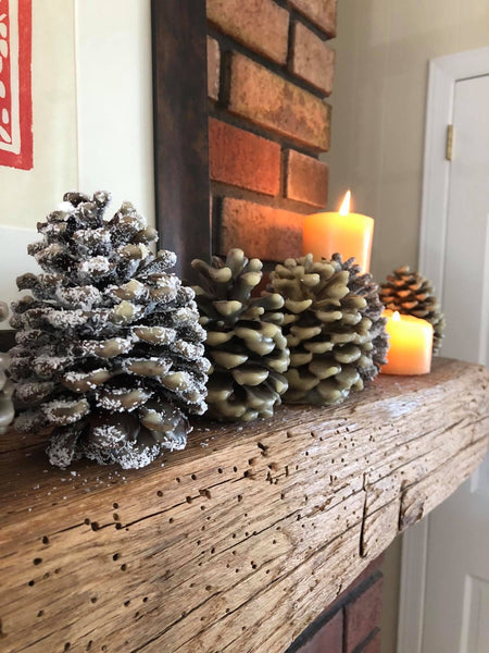 Beeswax/Pinecone Fire Starters: